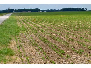 Property photo 29 - LAND AUCTION - 700+/- ACRES OFFERED IN 16 TRACTS IN ALLEN COUNTY, INDIANA